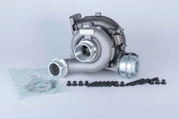 Charger, charging (supercharged/turbocharged) (WG1727007)