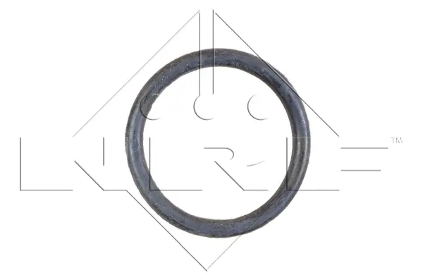 Radiator, engine cooling (WG1723312)