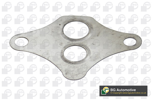 Gasket, EGR valve (WG1756544)