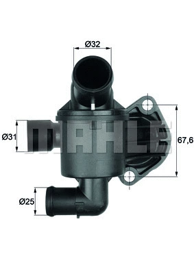 Thermostat, coolant (WG1261882)