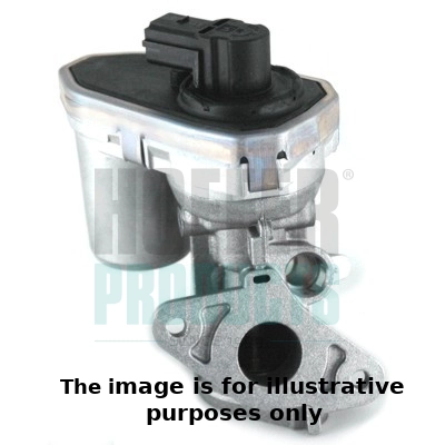 EGR Valve (WG1966141)