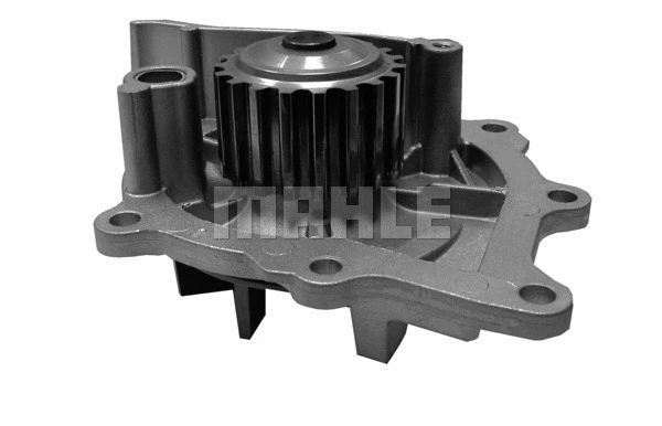 Water Pump, engine cooling (WG2181971)