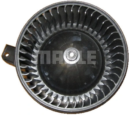Interior Blower