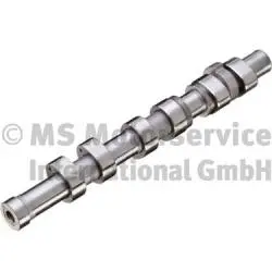 Camshaft (WG1888780)