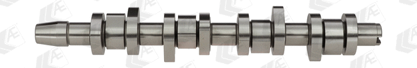 Camshaft (WG2202348)