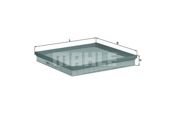 Air Filter (WG1216340)