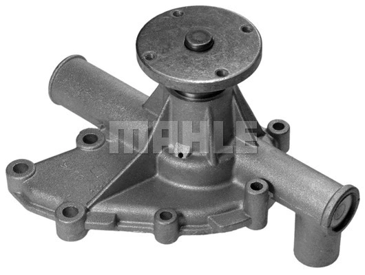Water Pump, engine cooling (WG2181721)