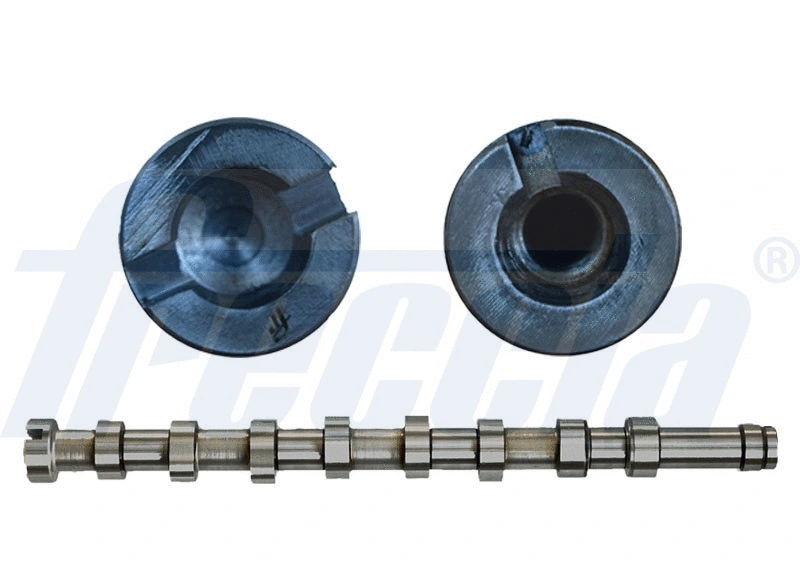 Camshaft (WG1483810)