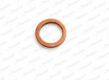 Seal Ring, nozzle holder (WG1184616)