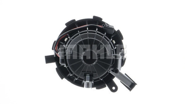 Interior Blower (WG2179819)