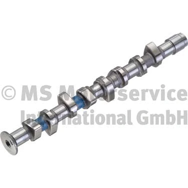 Camshaft (WG1017689)