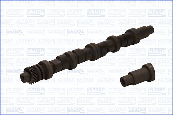 Camshaft (WG1171414)