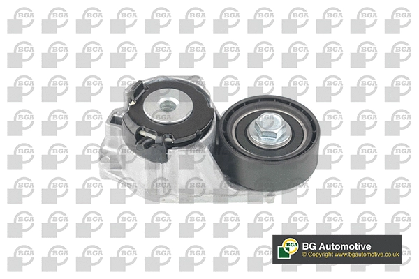 Tensioner Lever, V-ribbed belt (WG1907462)