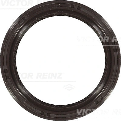 Shaft Seal, crankshaft (WG1250481)