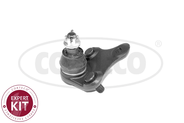 Ball Joint (WG2291987)
