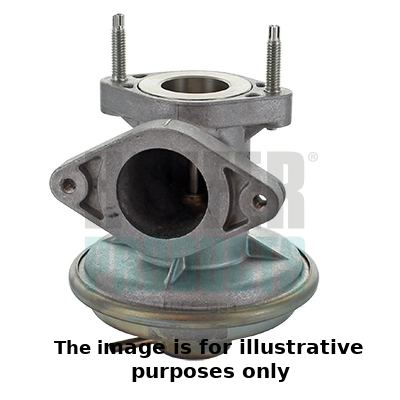 EGR Valve (WG2042781)