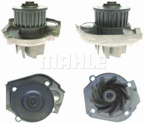 Water Pump, engine cooling (WG2181435)