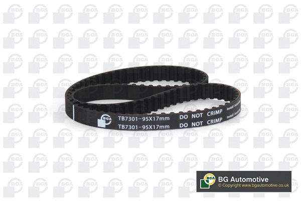 Timing Belt (WG2258671)