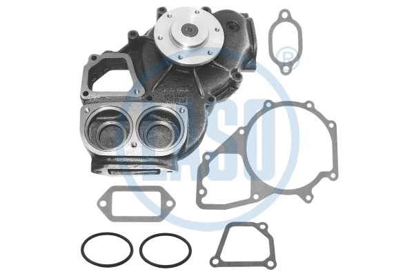 Water Pump, engine cooling (WG1709686)