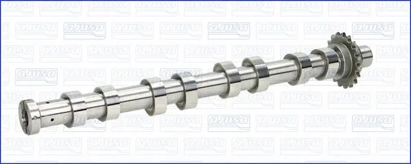 Camshaft (WG1456310)