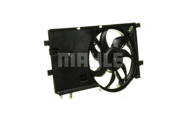 Fan, engine cooling