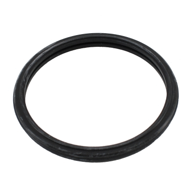 Seal, thermostat (WG2196061)