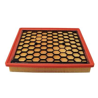 Air Filter (WG2152151)