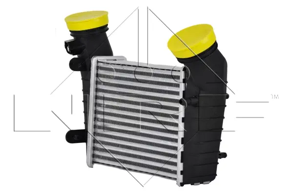Charge Air Cooler (WG1723734)