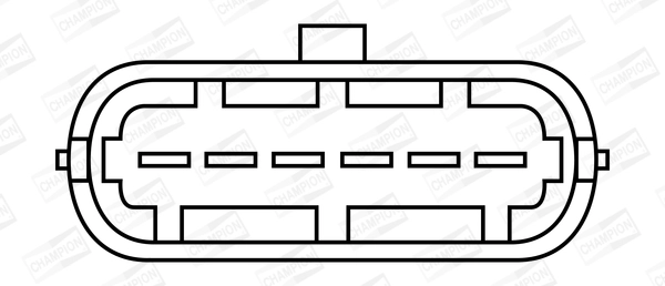 Ignition Coil (WG2009228)