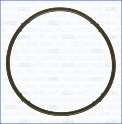Gasket, water pump (WG1751345)