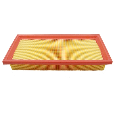 Air Filter (WG2042678)