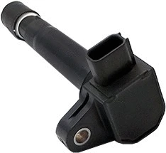 Ignition Coil (WG1012379)