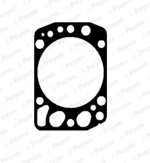 Gasket, cylinder head (WG2202321)