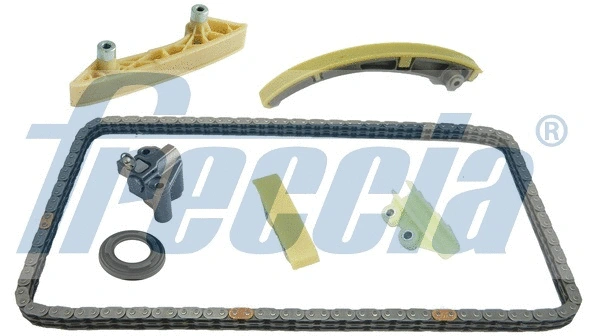 Timing Chain Kit (WG1910070)