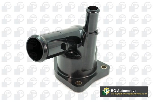 Thermostat, coolant (WG1991906)