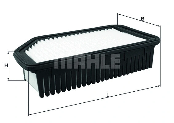Air Filter (WG1725572)