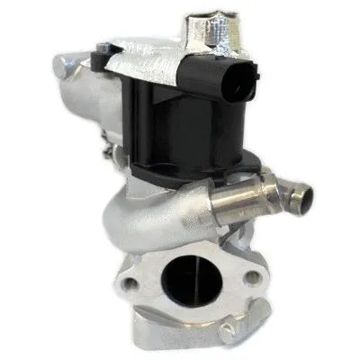 EGR Valve (WG1408758)
