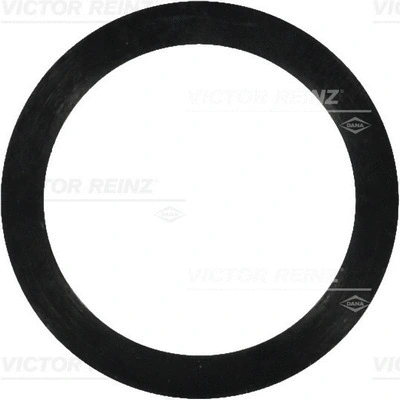 Seal Ring (WG1243742)
