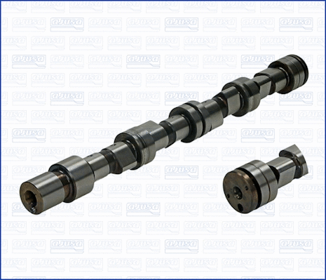 Camshaft (WG1170890)