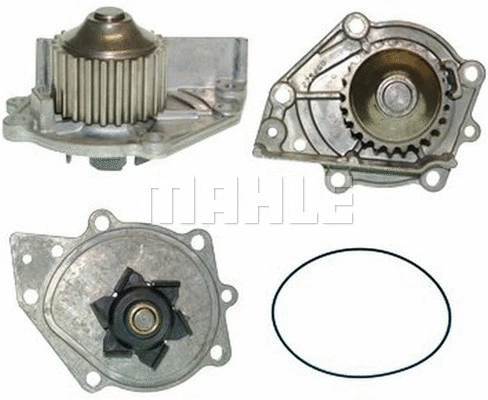 Water Pump, engine cooling (WG2181598)