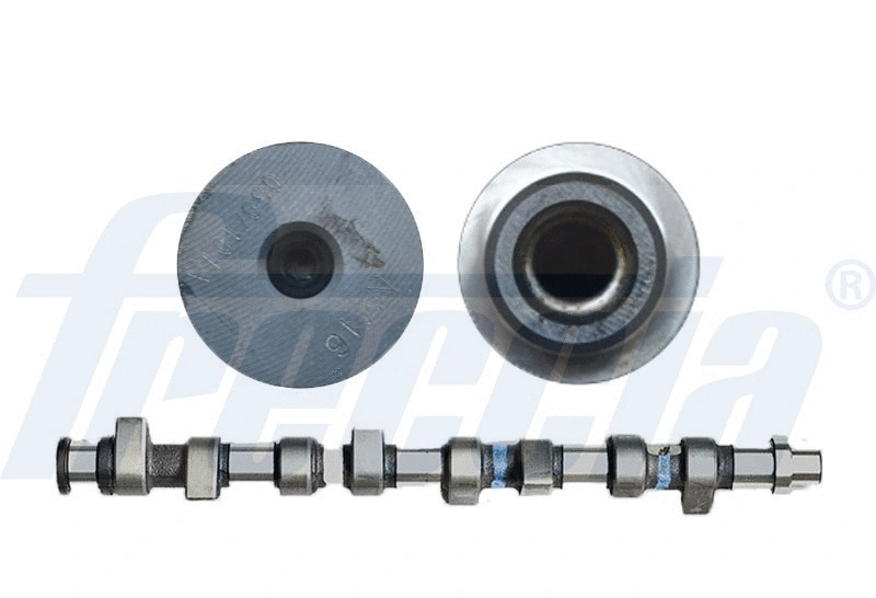Camshaft (WG1779080)