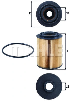 Oil Filter (WG1217302)
