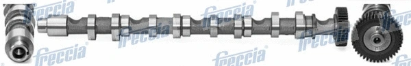 Camshaft (WG1155407)