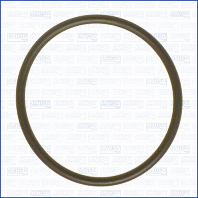Gasket, intake manifold (WG1451738)