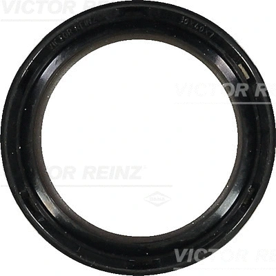 Shaft Seal, crankshaft (WG1250416)