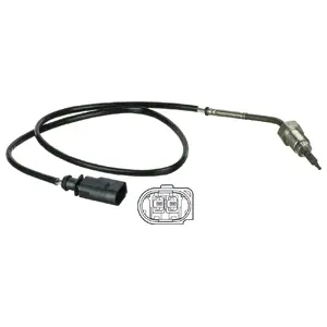 Sensor, exhaust gas temperature (WG1807791)