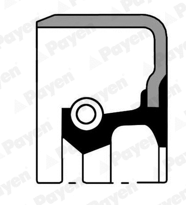 Shaft Seal, wheel hub (WG1184215)