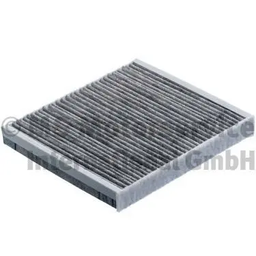 Filter, cabin air (WG1019273)