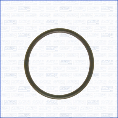Gasket, intake manifold (WG1163660)
