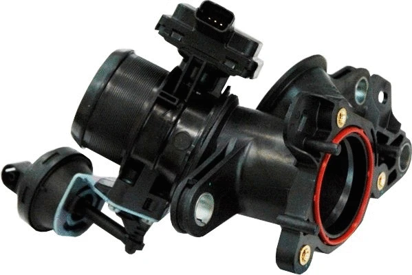 Throttle Body (WG1013578)